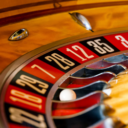 What the data from gambling machines tells us about betting behaviour